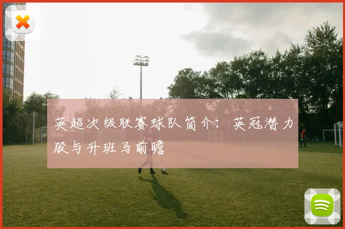 英超次级联赛球队简介:英冠潜力股与升班马前瞻